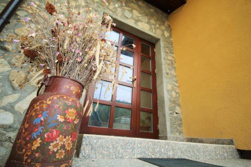 a vase with flowers in it sitting in front of a window at Mai Danube in Eşelniţa
