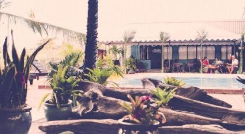 Piscina de la sau aproape de Insel Fehmarn Hotel