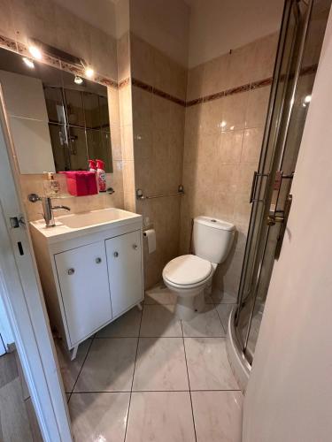 a bathroom with a toilet and a sink and a shower at CANNES La Mirandole in Golfe-Juan