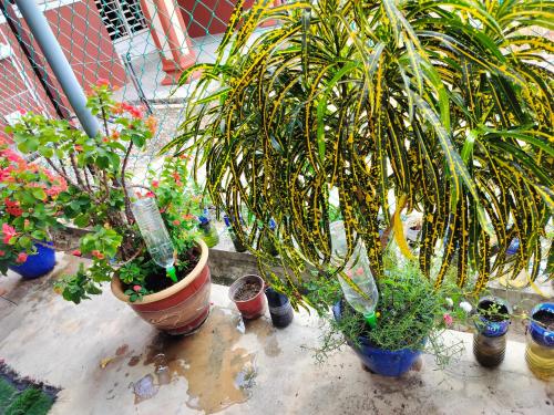 Ảnh trong thư viện ảnh của Liza Homestay ở Bachok