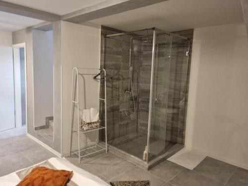 a shower with a glass door in a bathroom at Georgiana Apartments 2 in Timişoara