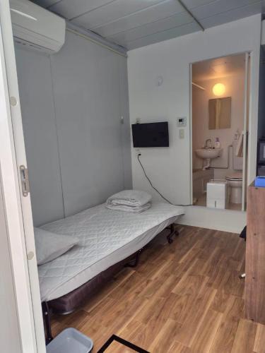 TV a/nebo společenská místnost v ubytování 金島ハウス