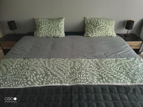 Afbeelding uit fotogalerij van castorette in Mimizan