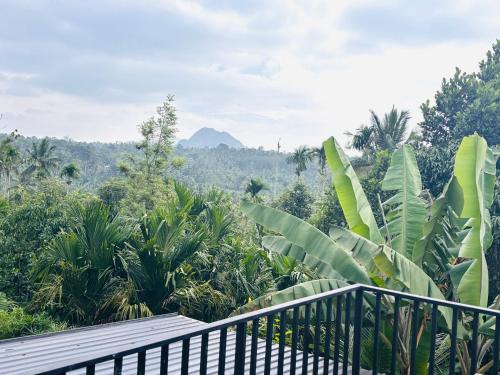 balcón con vistas a un bosque en tanis homestay, en Jāmb