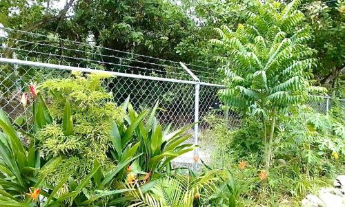 Foto de la galería de Garden Retreat Near Pitons, Relax Explore Nature en Caféière