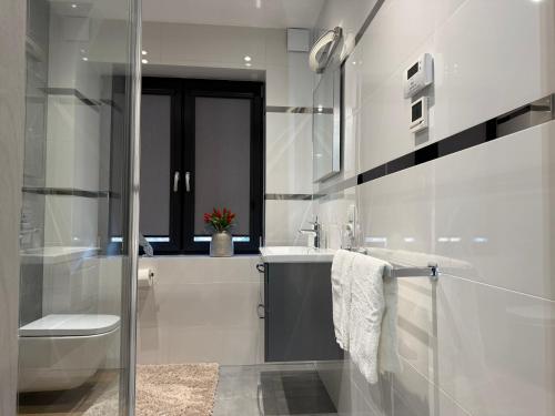 een badkamer met een wastafel, een toilet en een douche bij Apartment GreenHills 2 in Wałbrzych