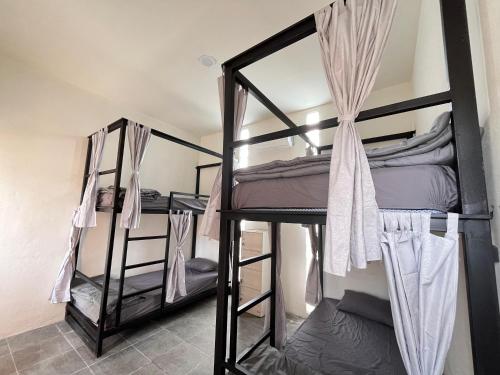 Ảnh trong thư viện ảnh của Wavez Lombok Hostel ở Selong Belanak