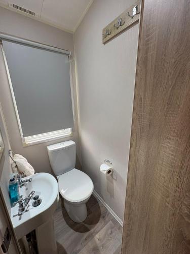 a bathroom with a toilet and a sink and a shower at Pine Tree Cove - your holiday retreat in Lytchett Minster