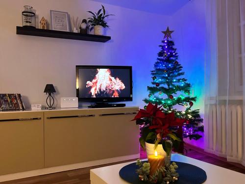 Duży apartament z kuchnią i łazienką w centrum Namysłowa في ناميسلوف: غرفة معيشة فيها شجرة عيد الميلاد وتلفزيون