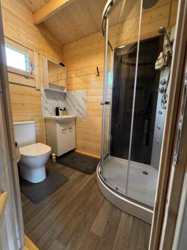 a small bathroom with a shower and a toilet at Poilsio Pieva in Ąžuolų Būda