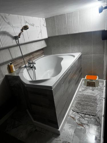 Hotels في كيشيناو: حمام مزود بحوض استحمام ودش