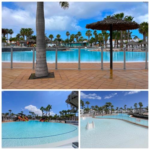 Oasis Dunas 406 near the pool by B-Rent