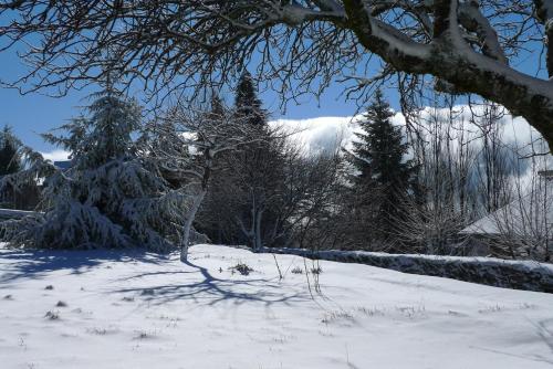 un cortile coperto da neve con alberi e una montagna di Casa da Serra a Penhas da Saúde