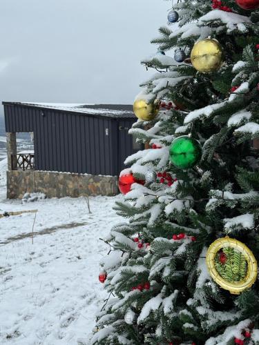 Shahdag Nature House