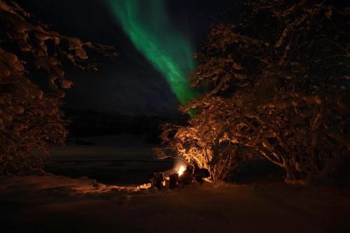 EIRA Fjord Stay with sauna, boat and fire pit by the fjord