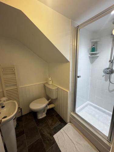 a bathroom with a shower and a toilet and a sink at Grange Lodge in York