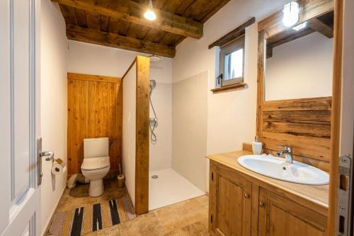 een badkamer met een wastafel en een toilet bij Veseud11 in Veseud-Agnita