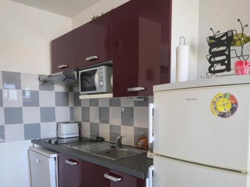 Kuchyň nebo kuchyňský kout v ubytování Apartment 4-6 personnes avec Piscine Demeure De la Massane