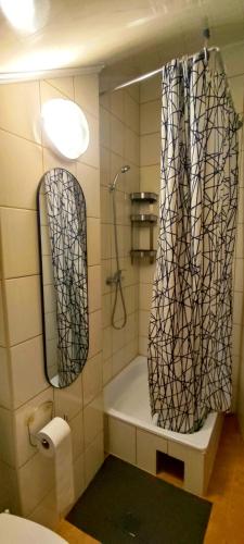 a bathroom with a shower and a tub and a mirror at Pokoje Gościnne VEIKSME in Bestwina