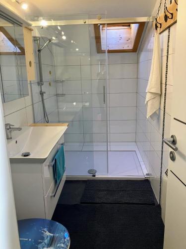a bathroom with a shower and a sink at Dachstein Stüberl in Bad Aussee