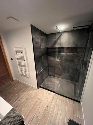 a bathroom with a shower with a glass door at Loft-chalet 12 pers - Billiards - Cinéma - 10 min ski in La Cabanasse
