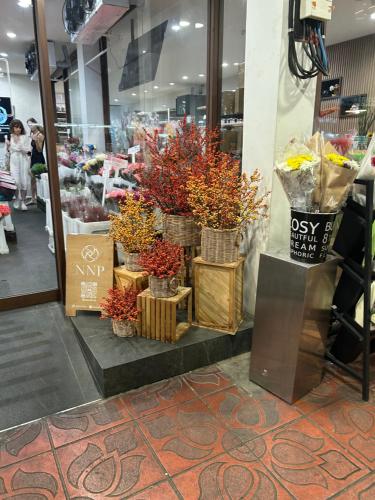 a store with a bunch of potted plants on display at Mookda House Chinatown BKK near MRT Samyot in Khlong San