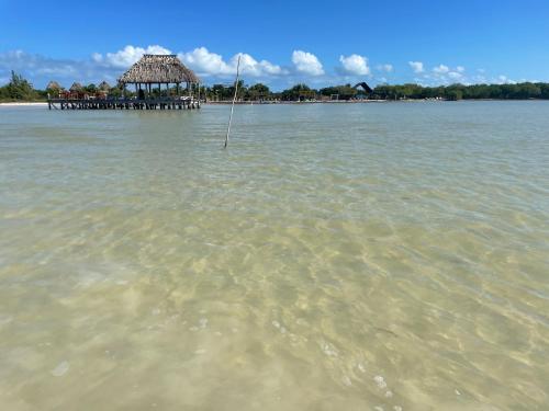 een strand met een hut in het water bij HOLBOX PUERTA DEL MAR in Holbox Island