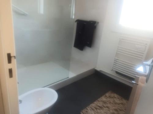 een badkamer met een wit toilet en een wastafel bij Super Apt terrasse 2box in Olivet