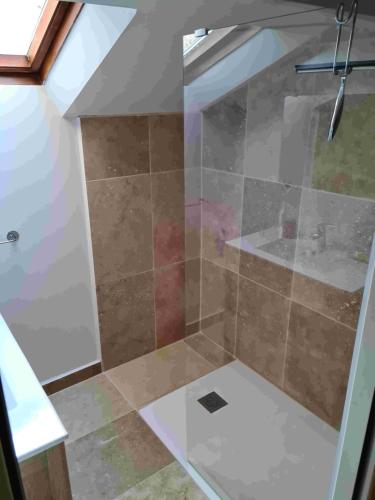 eine Dusche mit Glastür in der Unterkunft Pécoule in Bevons