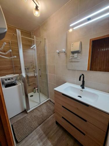 a bathroom with a sink and a shower at Logement 48m2- 2 chambres in Orcières
