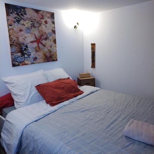 Perle rare appartement atypique centre ville
