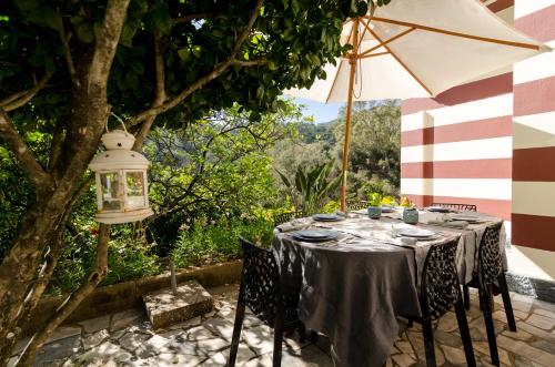 Κήπος έξω από το Chalet Monchique