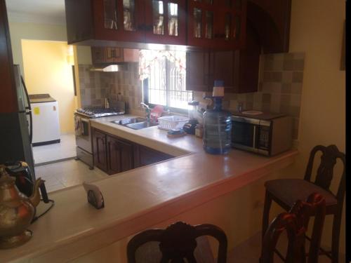 a kitchen with a counter with a sink and a microwave at Apartamento en el residencial reparto los tres ojos in Ensanche Savica de Mendoza
