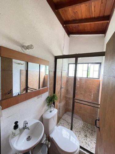 a bathroom with a toilet and a sink and a shower at Mirador Valeisa in Guatavita