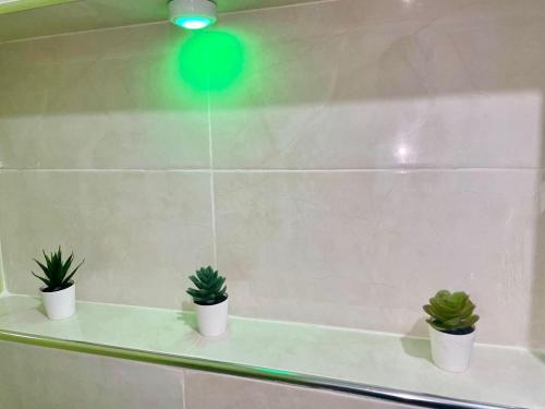 two potted plants sitting on a shelf in a bathroom at Le bon coin in Casablanca