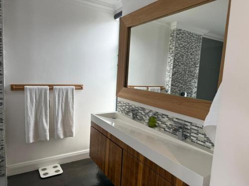 ポートエリザベスにあるRElaxed city livingの洗面台と鏡のあるバスルーム