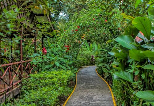 a path through a garden with plants and trees at Pachira Lodge in Tortuguero