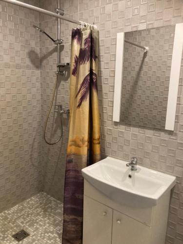 Ένα μπάνιο στο Apartamentai Rusnėje , Nemuno 13