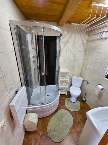 a bathroom with a shower and a toilet and a sink at Domki Mosorczyk in Zawoja