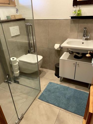 a bathroom with a shower and a toilet and a sink at Charmantes Studio im Seengebiet in Mattsee