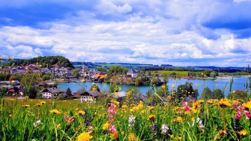 a view of a town and a body of water with flowers at Charmant Studio in Mattsee