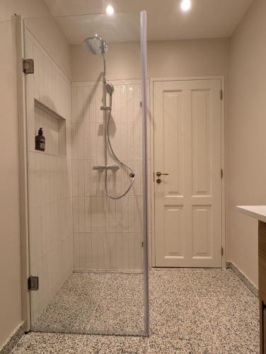a shower with a glass door in a bathroom at Historic Residence with Lake View in Stenstrup