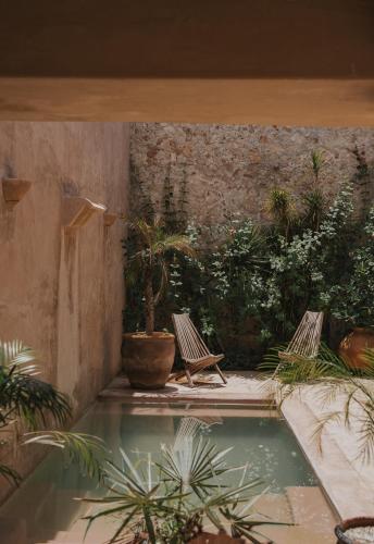 a courtyard with two chairs and a swimming pool at Villa Petit Comité in Mérida