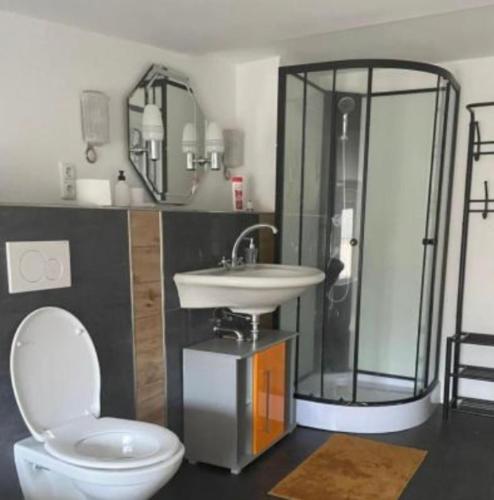 a bathroom with a shower and a toilet and a sink at Auszeit in Hamburg