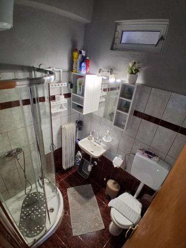 a bathroom with a shower and a toilet and a sink at Alexandra's Studio pyli in Pýli
