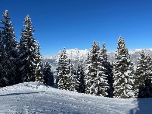 Holiday home Gröbming Ski Mountains om vinteren