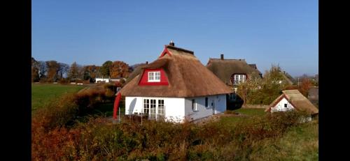 una piccola casa con tetto di paglia in un campo di Krügers Auszeit a Zinnowitz