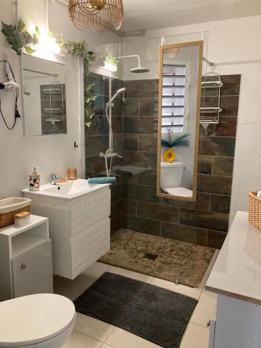 a bathroom with a sink and a toilet and a mirror at Charmant T2 in Rivière-Salée