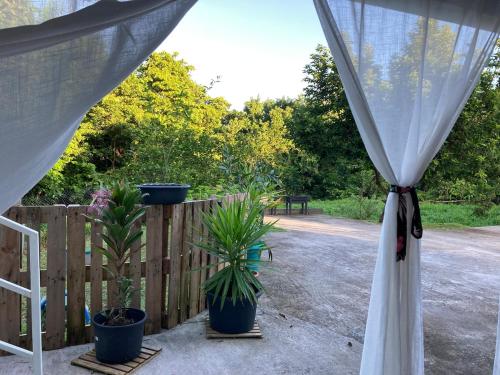 um pátio com vasos de plantas e uma cerca em Appartement 2 personnes em Rivière-Salée