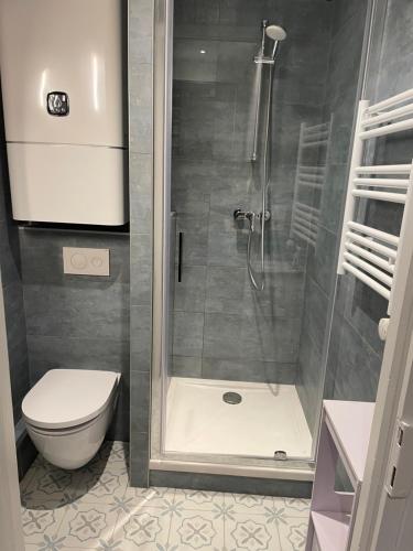 un bagno con doccia e WC di Dinard: studio à 100 m de la plage de L'Ecluse a Dinard